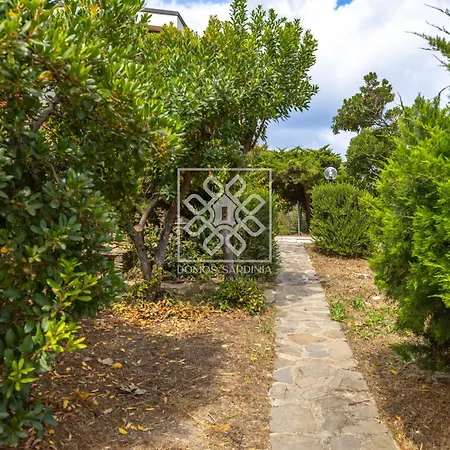 Daire Casa Sofia Stintino